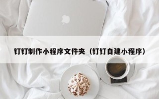 伊川钉钉制作小程序文件夹（钉钉自建小程序）